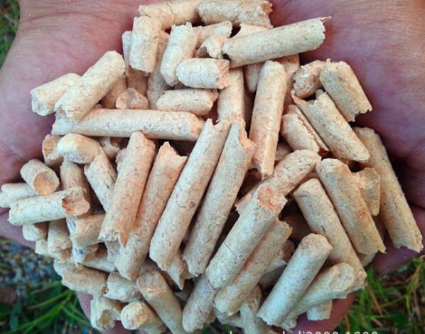 生物質(zhì)燃料顆粒機(jī)設(shè)備