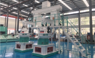 補貼時代，生物質顆粒市場如何了呢？你想知道的在這里