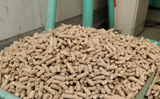 在燃燒時(shí)，水分大的生物質(zhì)顆粒會出現(xiàn)哪些問題？