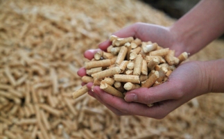 為什么越來越多人選鋸末顆粒機的生物質顆粒取暖？